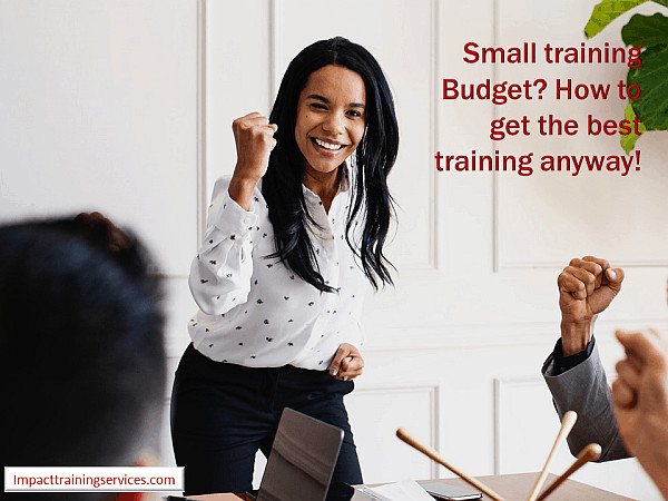 cover image for small training budget