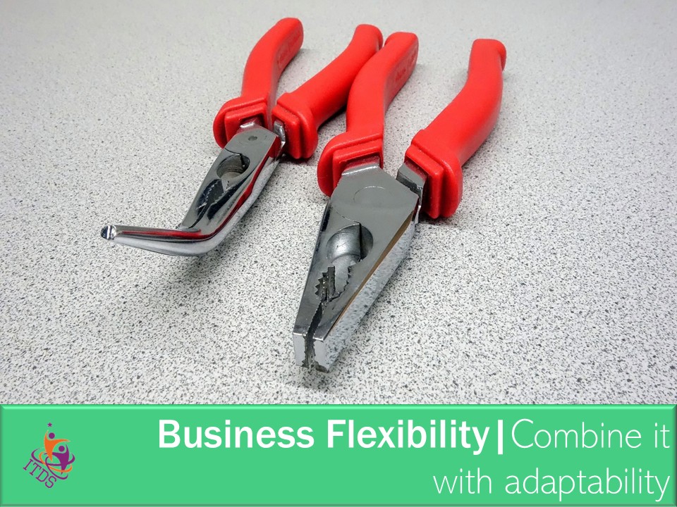 image showing how to combine business flexibility and adaptability
